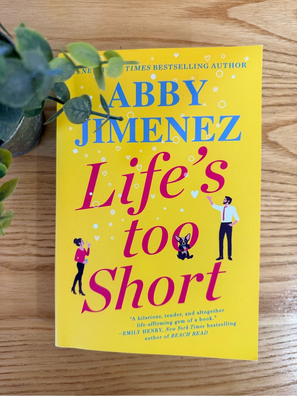 🌿2/$25 • Life’s Too Short Paperback by Abby Jimenez